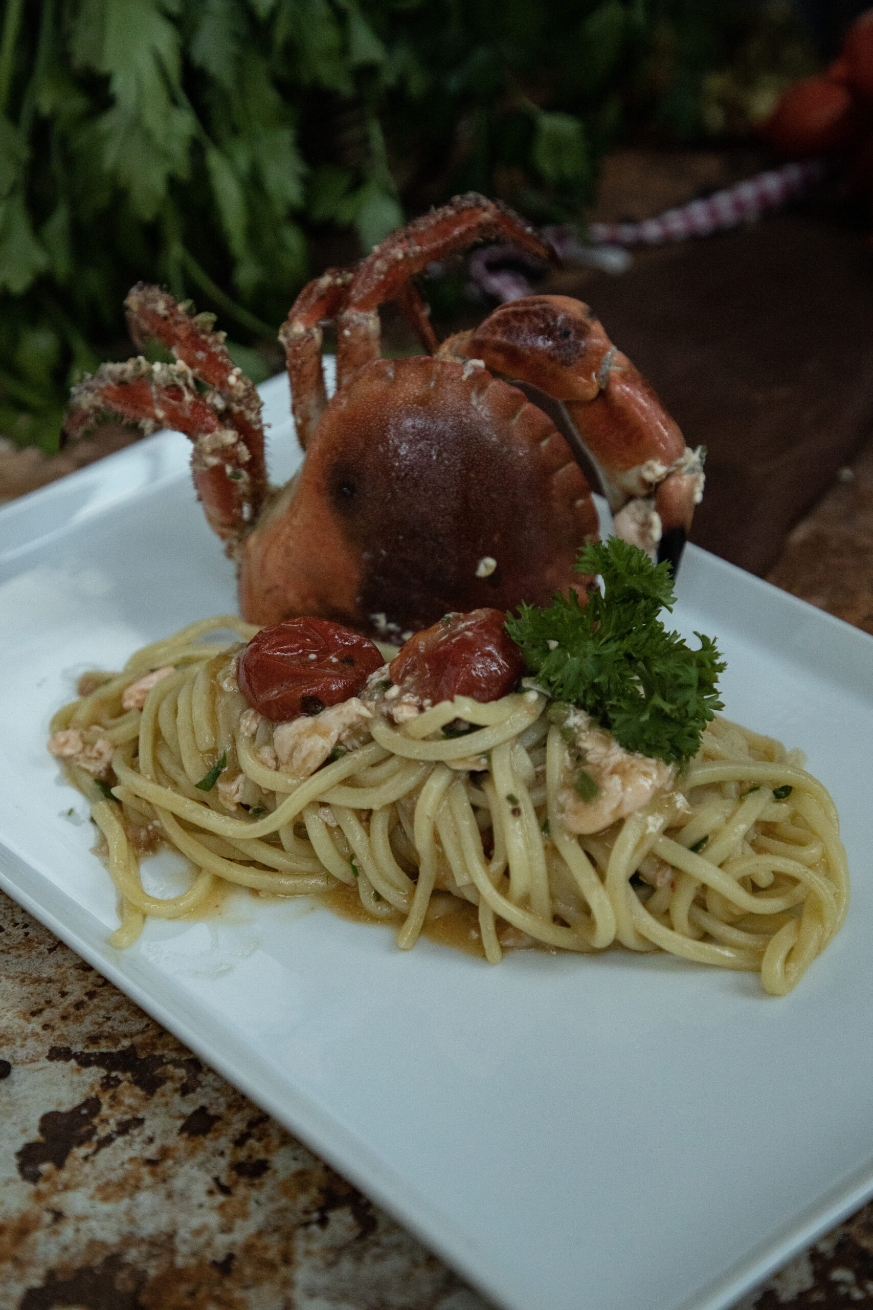 spaghetti chitarra con granchio signora bettola